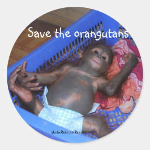 Sticker Rond Sauvez le mignon bébé des Orangoutans