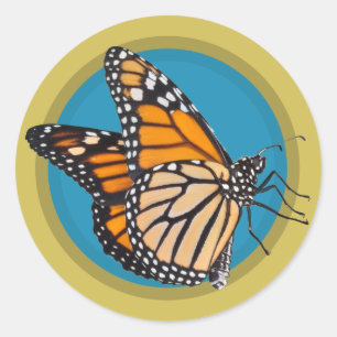 Sticker Rond Sauvez le papillon Monarch