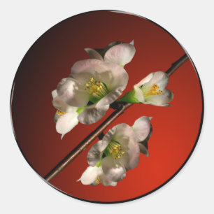 Sticker Rond Sceau d'enveloppe asiatique en fleurs de printemps
