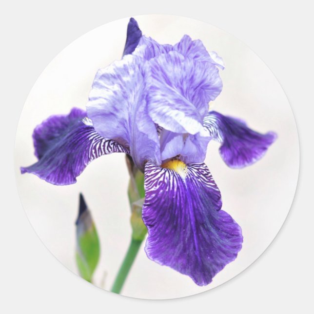 Sticker Rond Sceau d'enveloppe de l'Iris été (Devant)