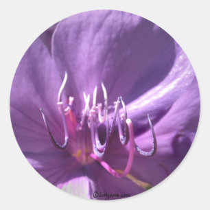 Sticker Rond Sceau d'enveloppe Mariage à fleurs violettes