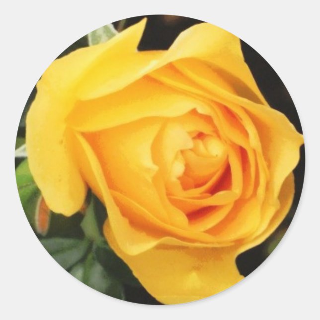 Sticker Rond Sceau d'enveloppe 'Rose jaune' (Devant)