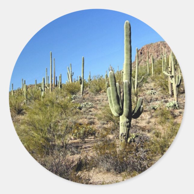 Sticker Rond Scène du désert de Sonoran 03 (Devant)