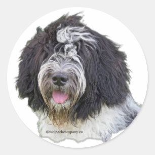 Sticker Rond schapendoes