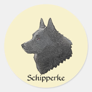 Sticker Rond Schipperke