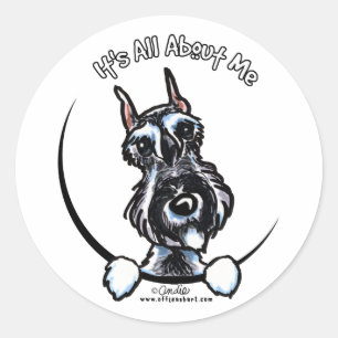 Sticker Rond Schnauzer de poivre de sel IAAM
