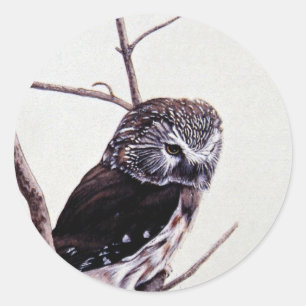 Sticker Rond Scie-affûtez le hibou