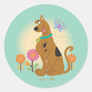 Sticker Rond Scooby-Doo Après Papillon