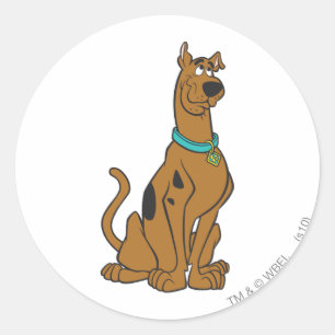 Sticker Rond Scooby Doo Chiot Yeux