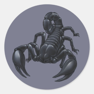 Sticker Rond Scorpion