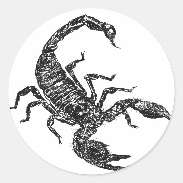 Sticker Rond Scorpion (Devant)