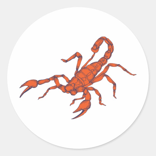 Sticker Rond Scorpion ~ Scorpions d'insectes (Devant)