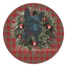 Scottie