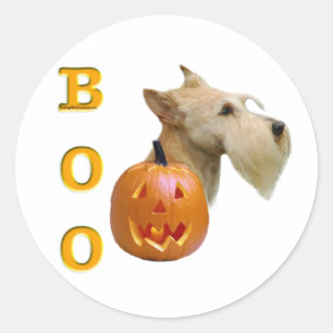 Sticker Rond Scottish Terrier (blé) Boo