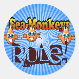 Sticker Rond Sea Monkeys Monkees Design
