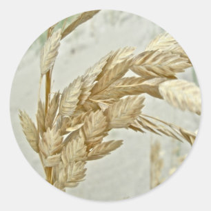 Sticker Rond Sea Oats Outer Banks série NC