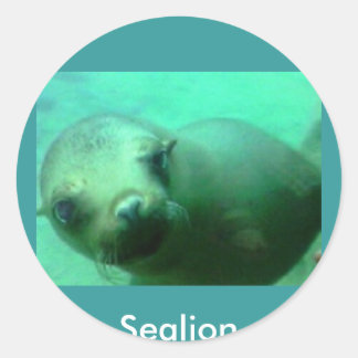 Sticker Rond Sealion