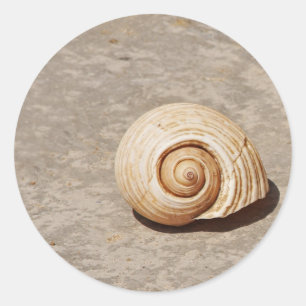 Sticker Rond SeaShell
