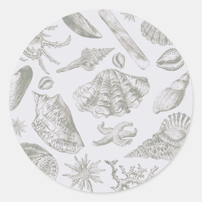 Sticker Rond Seashell Soft Antique Art Beach Shops (Devant)