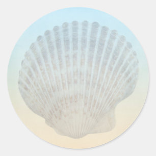 Sticker Rond Seashell Tropical Beach
