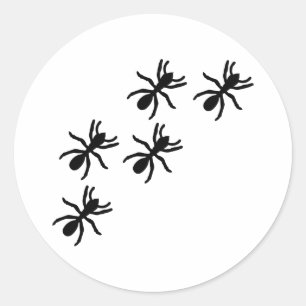 Sticker Rond sentier de la fourmi noire