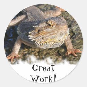 Sticker Rond Série barbue de dragon