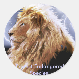 Sticker Rond Série des espèces menacées de lions d'Afrique