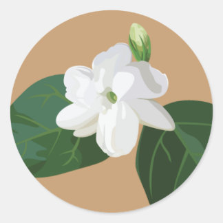 Sticker Rond Série Philippines : Sampaguita Flower
