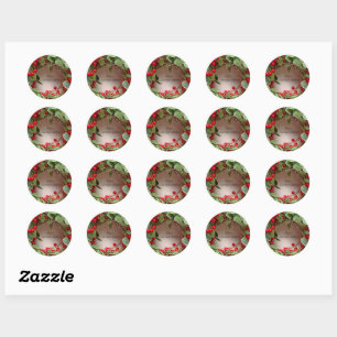 Sticker Rond Serre de baies et verdure