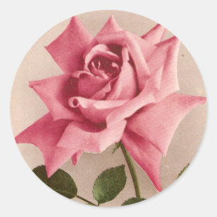 Sticker Rond S'est levé