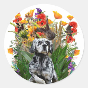 Sticker Rond Setter anglais