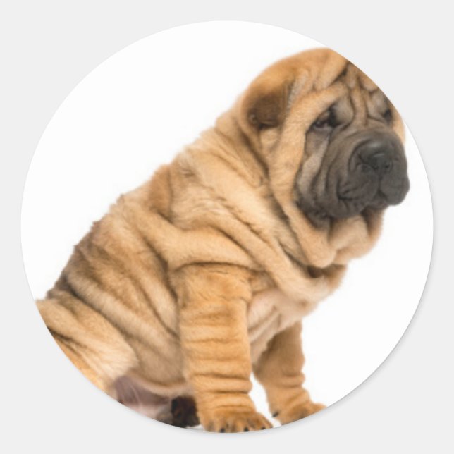 Sticker Rond Shar pei Dog (Devant)