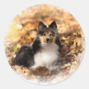Sticker Rond Sheltie Shetland Sheepdog Art Peinture