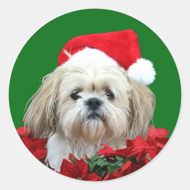Sticker Rond Shih Tzu Noël (Devant)