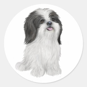 Sticker Rond Shih Tzu - noir et blanc (par JF)