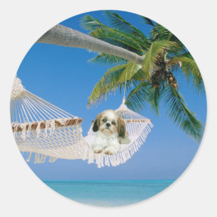Sticker Rond Shih Tzu traînant l'autocollant