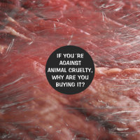Si vous êtes contre la cruauté envers les animaux.