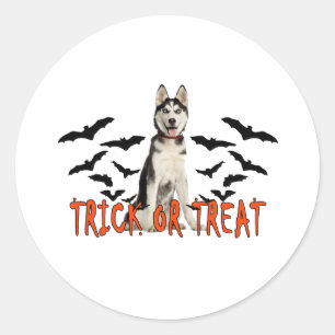 Sticker Rond Sibérie Husky Trick T Shirts.png