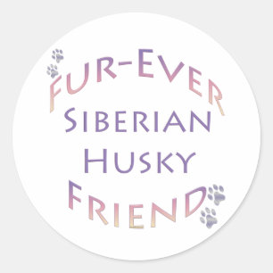 Sticker Rond Sibérien Husky Furever Friend
