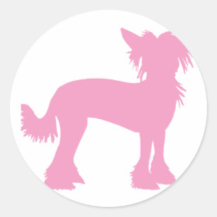 Sticker Rond Silhouette crêpée rose chinois