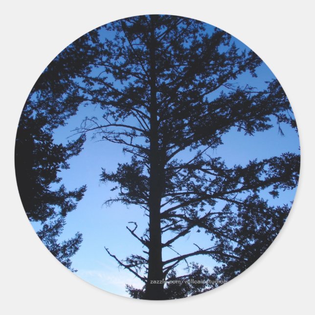 Sticker Rond Silhouette de l'arbre (Devant)
