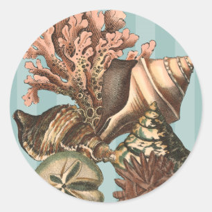Sticker Rond Silhouette de vie marine