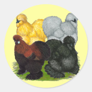 Sticker Rond Silkies : Coq Assortis
