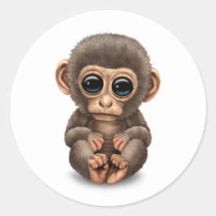 Sticker Rond Singe Bébé mignon et curieux en blanc