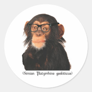 Sticker Rond singe geek