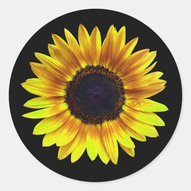 Sticker Rond Single Bright Yellow (Devant)