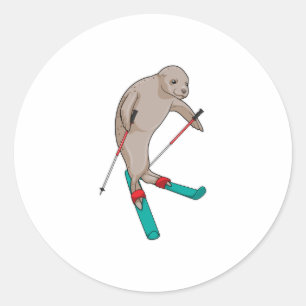 Sticker Rond Ski de Seal