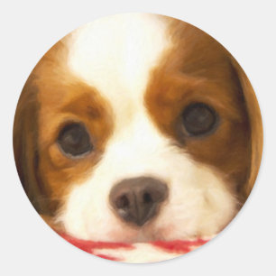 Sticker Rond Snowflake Cavalier King Charles Spaniel