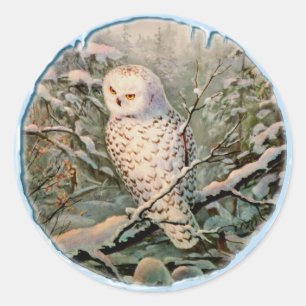 Sticker Rond SNOWING OWL & ICICLES par SHARON SHARPE