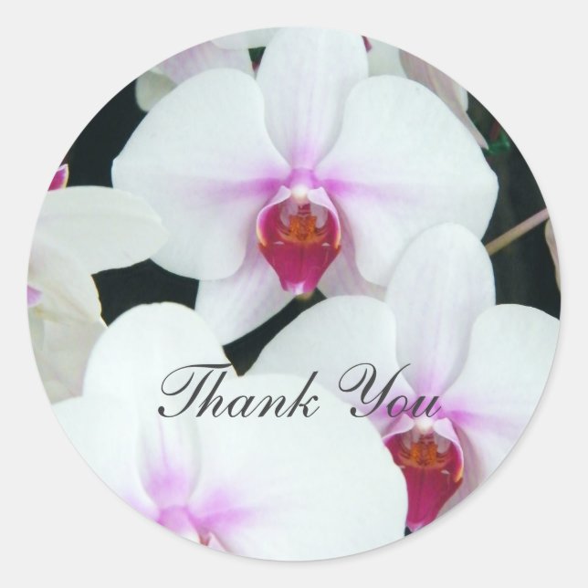 Sticker Rond Soeurs - Merci (Devant)